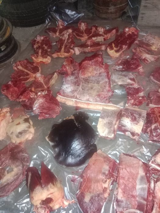 Продам кунан пол