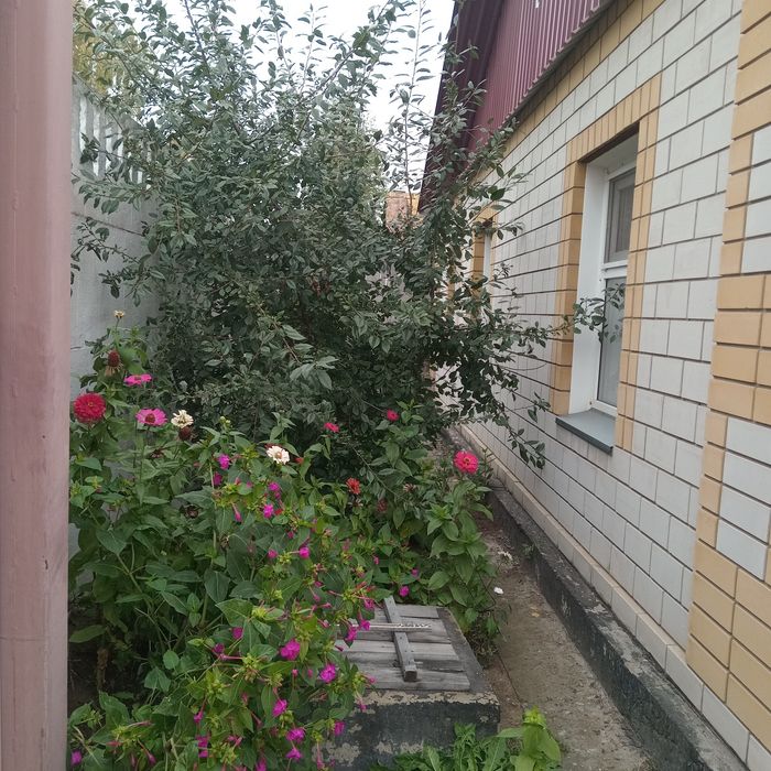 Продам дом в районе Мдс!