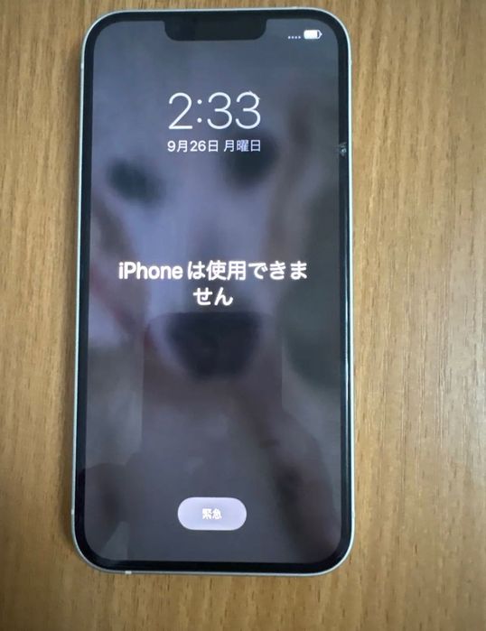 Iphone 13 holati rasimda