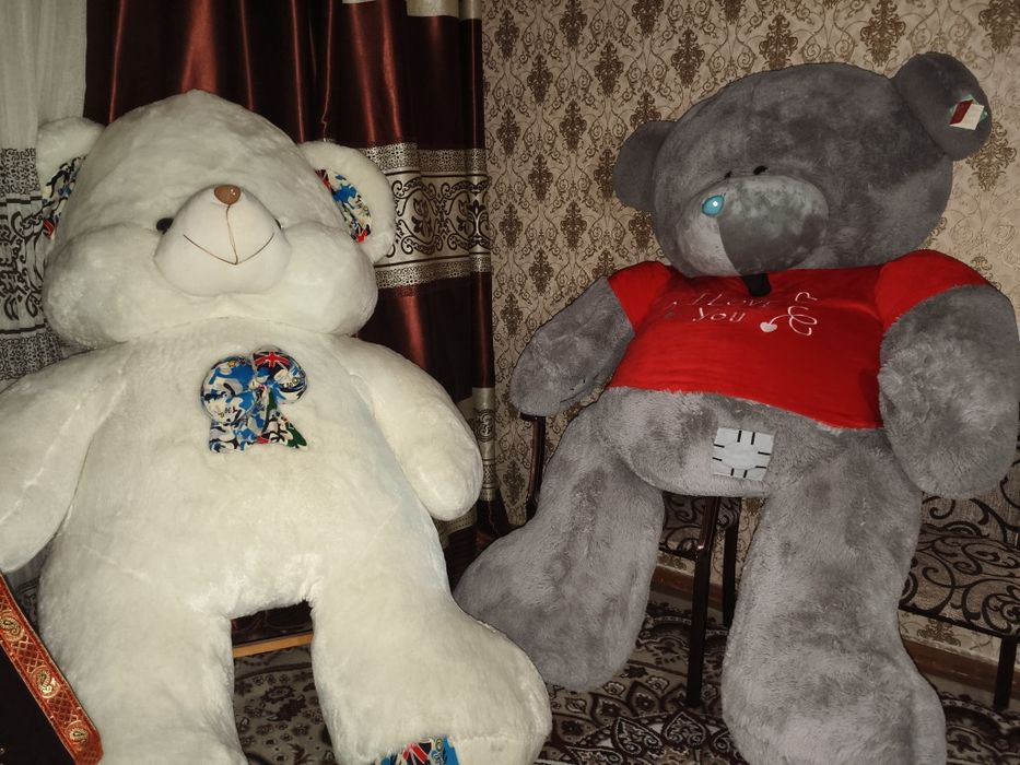 TEDDY.  Сотилади. 2 МЕТР.