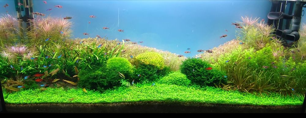 Аквариумы под заказ, любого размера и формата