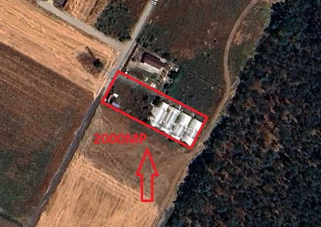 Teren/sere VANZARE 2000 MP Măgurele | Bucuresti CONSTRUCȚII/INVESTIȚIE