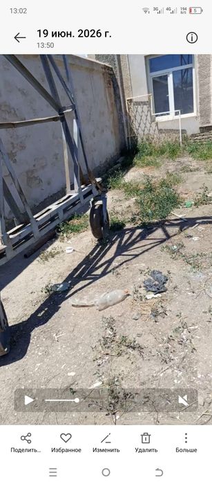 Таль, крон сотилади
