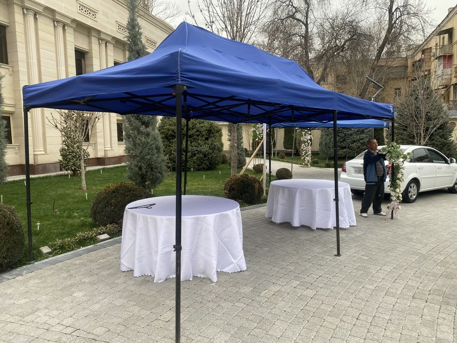 Prakat stol stul chinni idish Прокат стол стул посуда