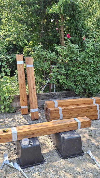 Vând Sipca băițuita