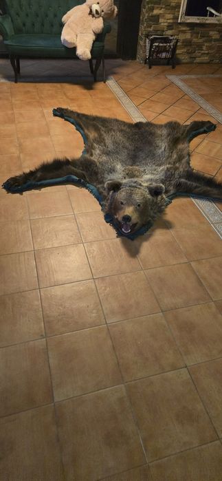 Vand Trofeu Urs brun