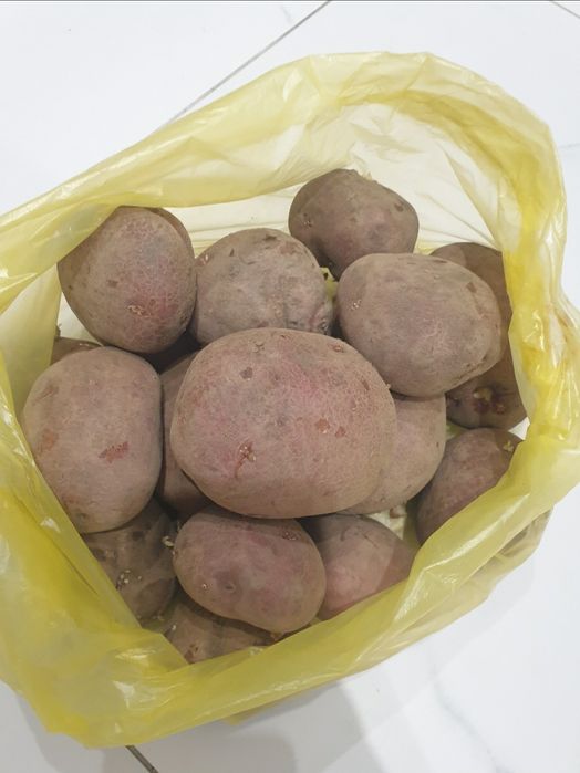 Продам картофель дачный