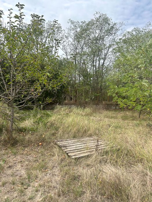 Продава се Парцел в Варна, м-т Боровец - север - 1290 кв.м за 36 €/кв.м - Снимка #1