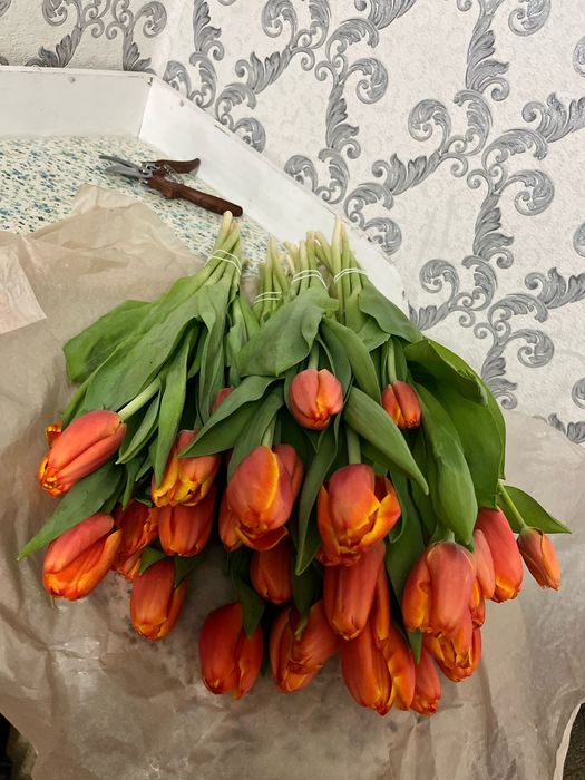 Продажа тюльпан предзаказы