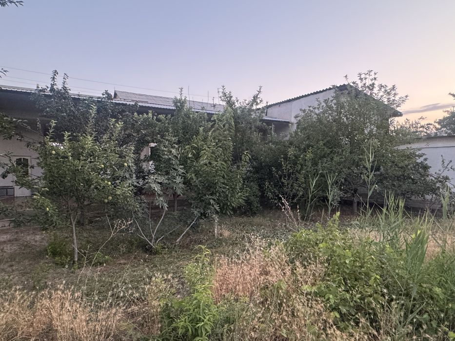 3 paliklinika Nuriddin kilinika kochada yer 5 sotix ozimi uyim