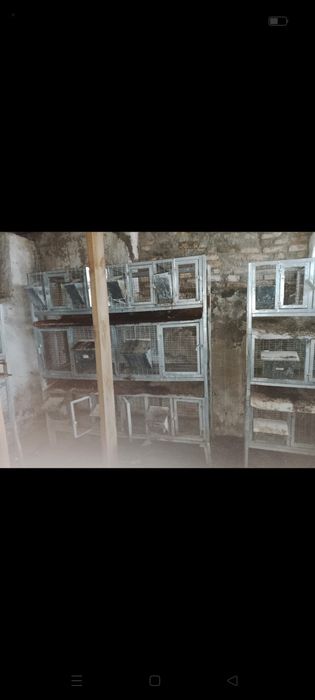 Клетки для кроликов