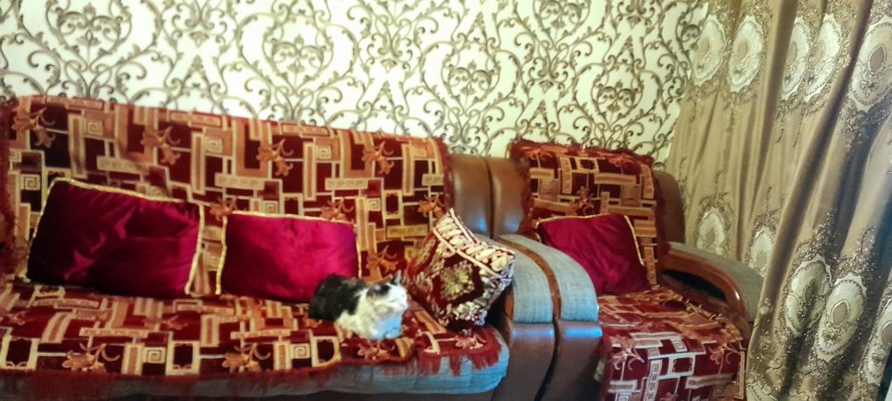 Диван 2 та креслоси пакревал ва ёстукчалари б н