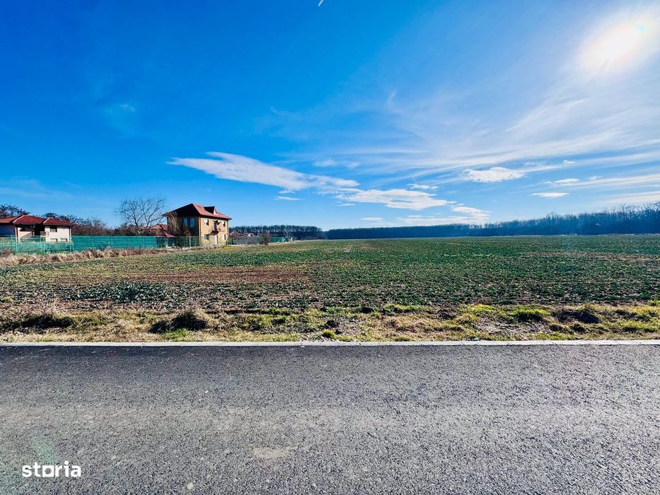 Teren Ciofliceni lângă pădure,Utilități complete Comision 0