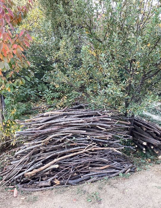 Дрова для топки, полная газель