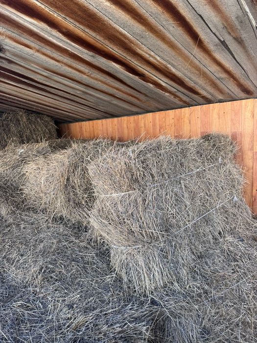 всем доброго время суток