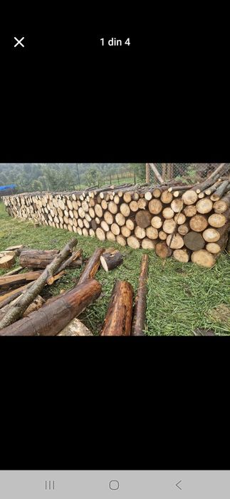 Vand lemne de foc din rasinoase