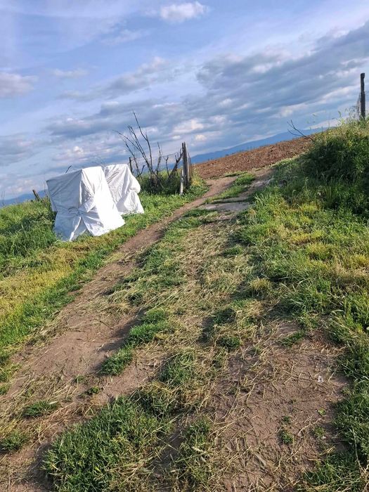 21 кв сервиз 820 кв двор