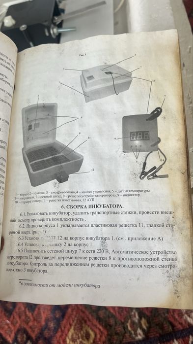 инкубатор несушка