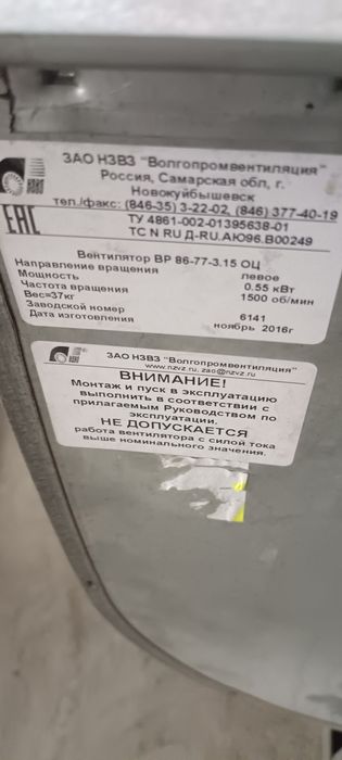 Вытяшка улитка россия