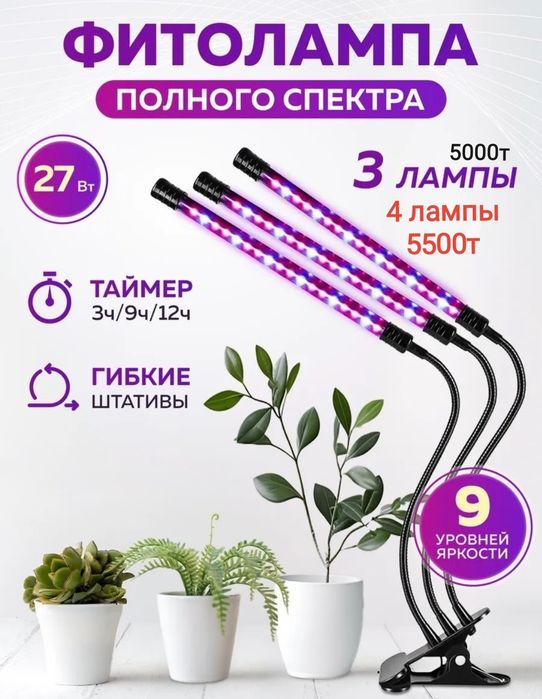 Фитолампа и многое другое