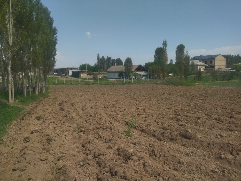 srochna uy joy uchun yer sotiladi 16 sotik kadastir qilib beriladi