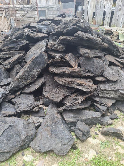 CARBUNE  250 lei tona.