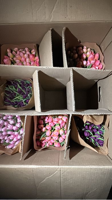 Тюльпаны на 8 марта