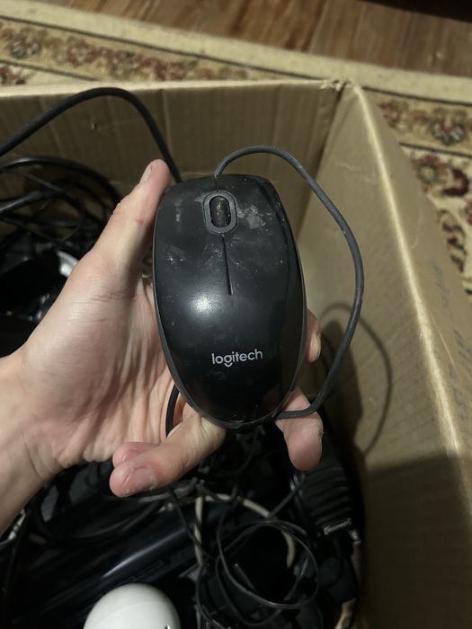 Есть мышки и клавиатура