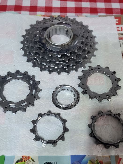 Foi  Campagnolo.