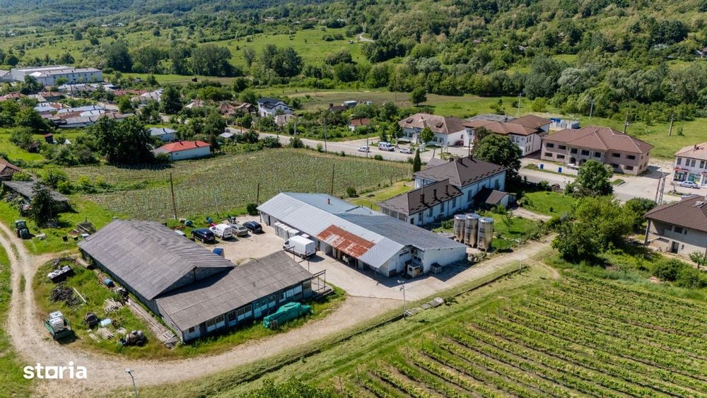 Cramă Premium De Vânzare -60 Ha- Conac Istoric- Podgoria Drăgășani