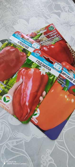 Рассада перца, баклажан