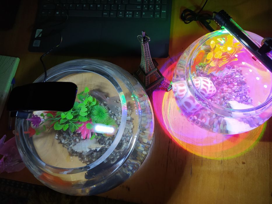 Круглые аквариумы, на 3, 5литров настольный с рыбками