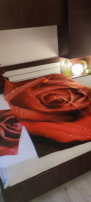 Set de pat 100%bumbac, imprimeu trandafiri cu roua, Covers&Co, nou