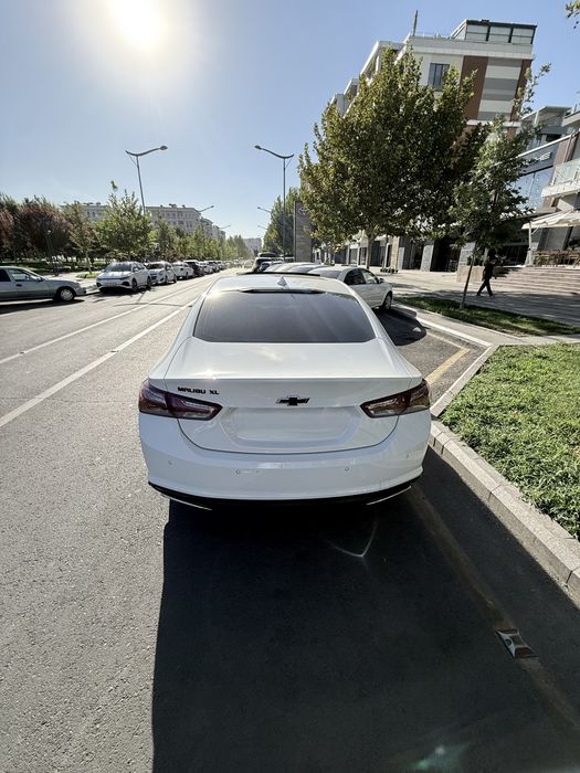 Malibu XL 2023 Tozza