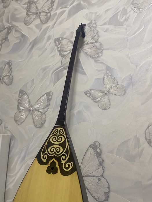 Домбыра черный свет