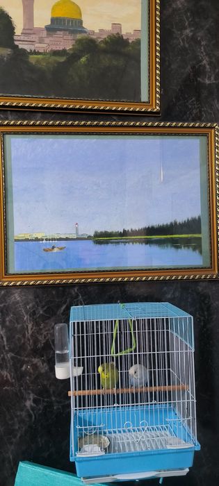 Картины импрессиониста ВАНГОГА И МОНЕ