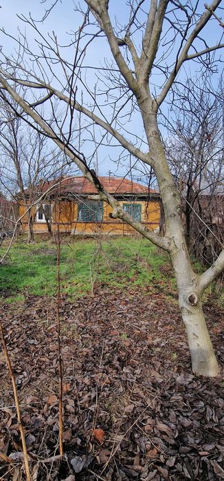 Casă și teren în Tămădău Mare