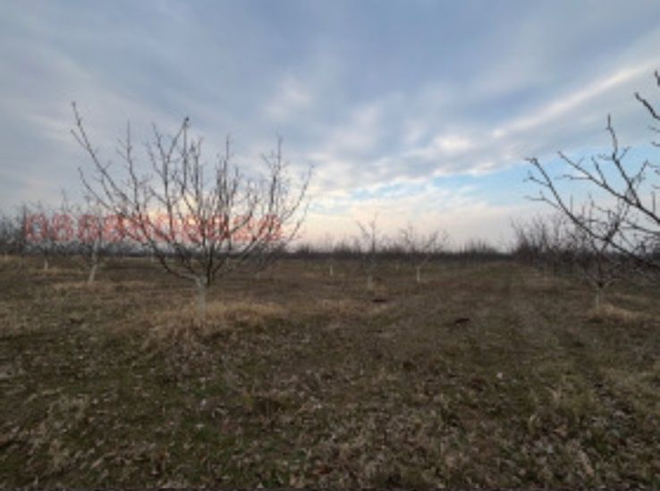 Продава се Земеделски имот в Перущица -  кв.м за 4857 €/дка - Снимка #1