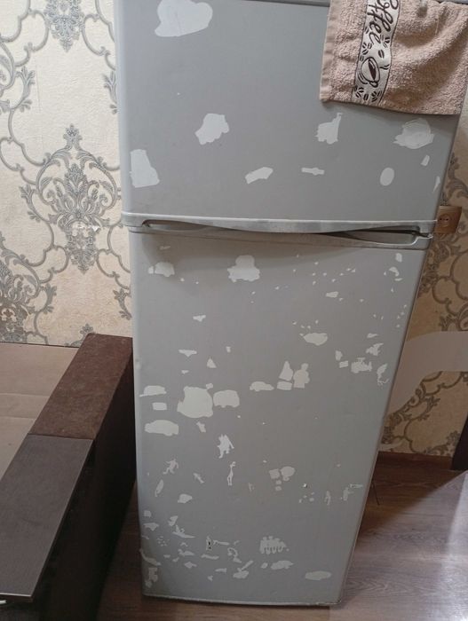 Холодильник Snaige