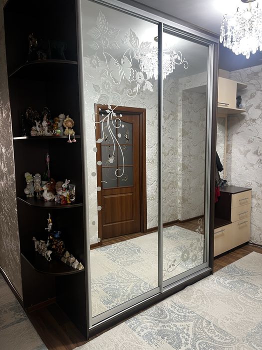 Стильный шкаф-купе с зеркалом и рисунком