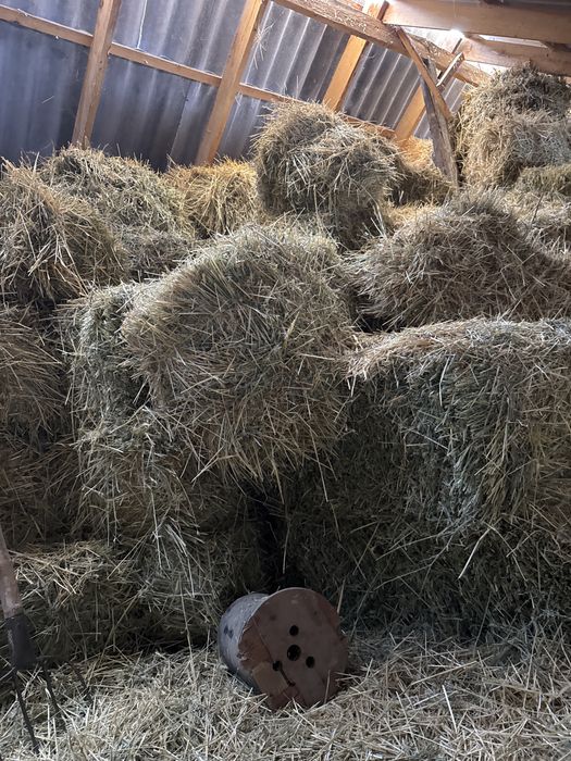 Пшен пресс 1500 теңгеден