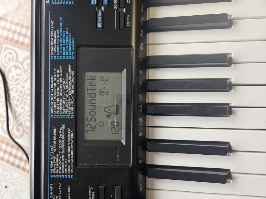 Сентизатор Casio