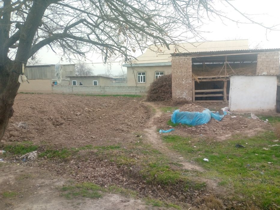 Денов туман хайработ чукучкишлок Ер сотилади сотиги 2500$дан 10сотих