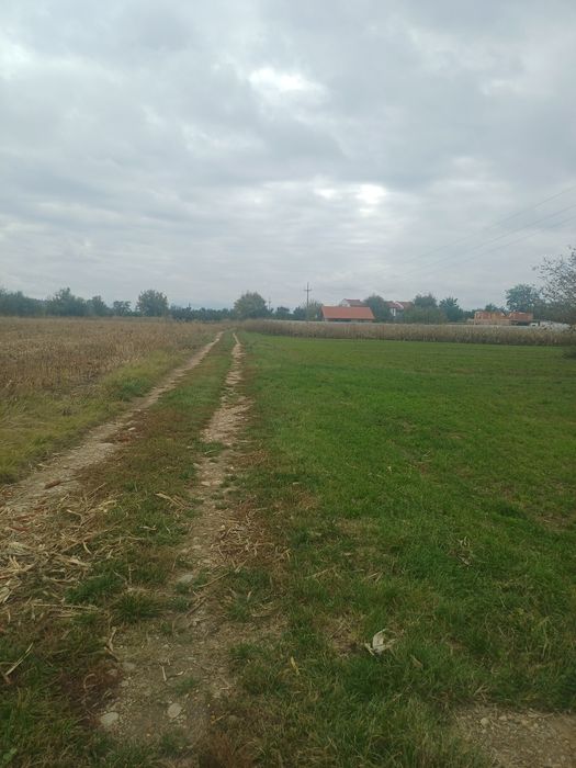 Vând teren intravilan în Băcia