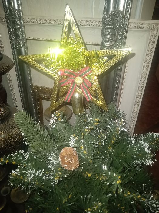 Уценка ! 2000тг! Ёлка Ширша