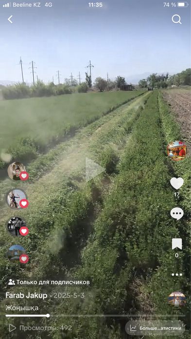 Жоңышқа Клевер 2026