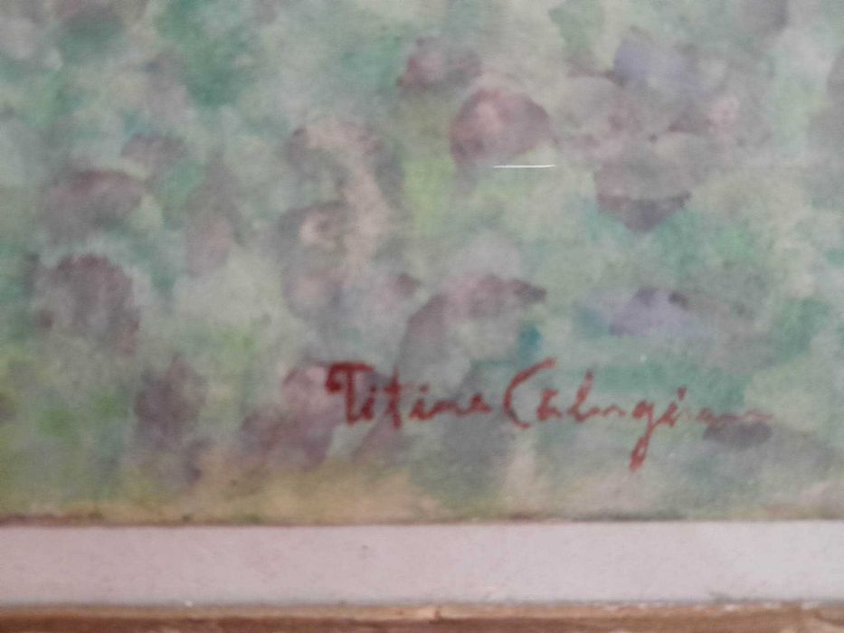 La camp, Titina Calugaru, guasa pe hartie, 28x20 cm, inramat