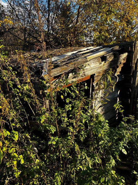 Доски даром. Белый луг