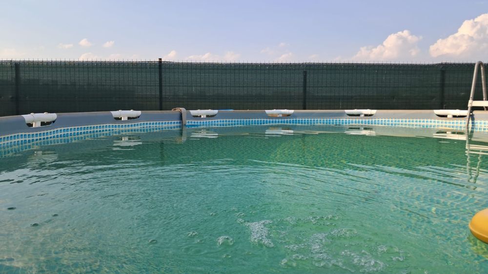 Vand Piscina Si Pompa