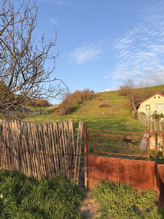 Teren intravilan - Comuna Teslui, sat Cherlestii din Deal